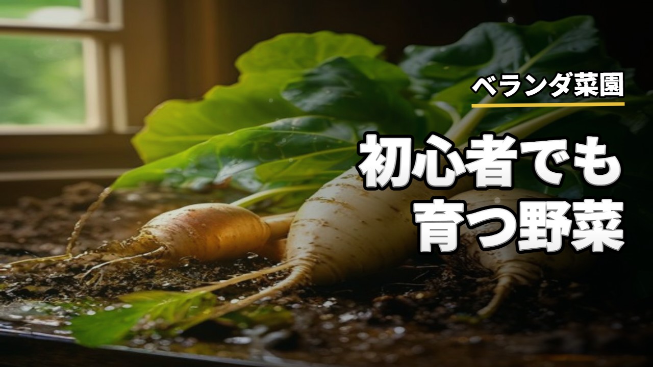 園芸・家庭菜園