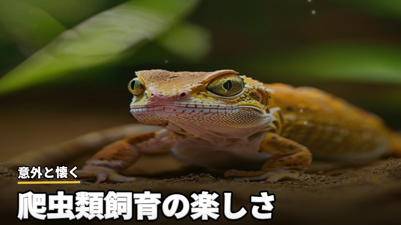 小動物・爬虫類