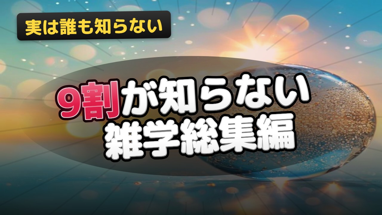 雑学・豆知識